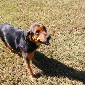 Meet your Posher, Kandi